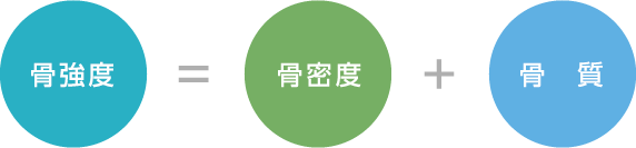 骨強度=骨密度+骨質